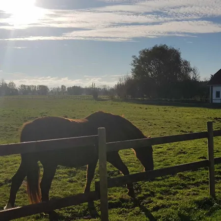 Ferien-residenz Am Nationalpark 6 * Gingst
